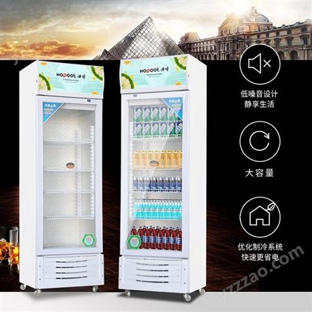 浩博品牌销售饮料冷藏柜 单门饮料冷藏柜 双门饮料冷藏柜 货到付款销售