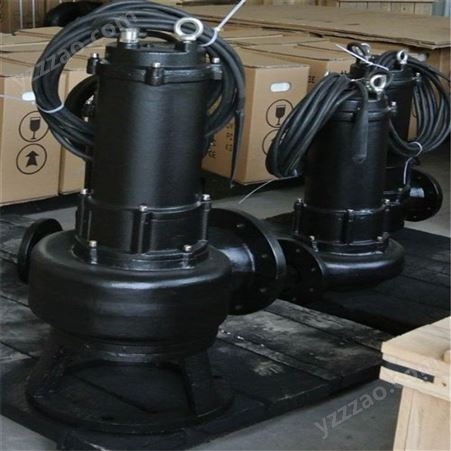天津WQ系列排污泵 管道泵 天津排污泵 天津水泵供应商