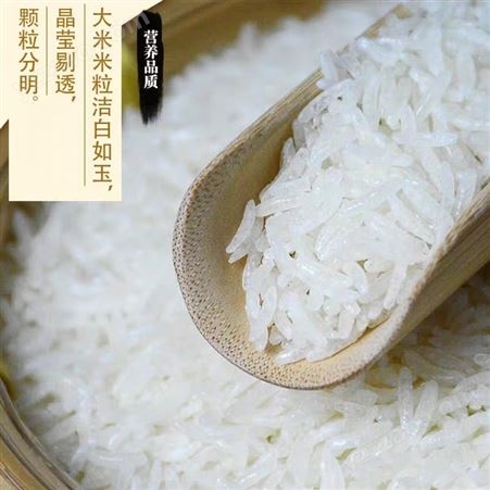 人造米设备 杂粮米生产线 即食人造大米生产线