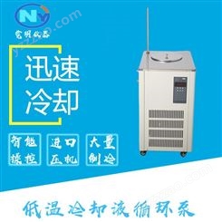 DLSB-30L /-10°c低温冷却液循环泵 恒温水浴槽 恒温反应浴槽 冷却循环机