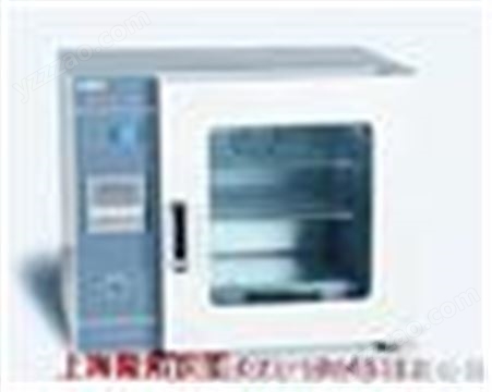 GZX-DH-600BS-Ⅱ电热恒温干燥箱 电话：