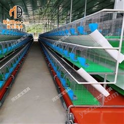 麦宝生产养殖笼 种兔三层阶梯式18位笼具 繁育品型兔笼免清粪