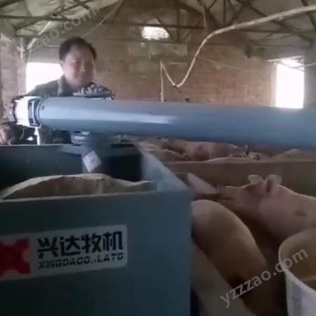 XD猪用喂料器 猪设备全自动料线 育肥猪自动喂料设备