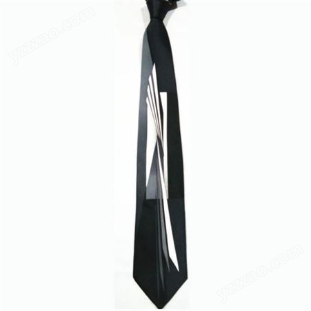 领带 拉链领带 欢迎咨询 和林服饰