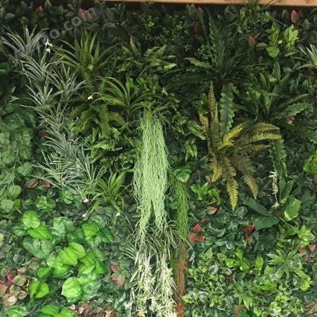 江苏写字楼植物墙施工 绿色仿真植物墙
