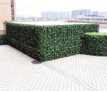 江苏写字楼植物墙施工 绿色仿真植物墙