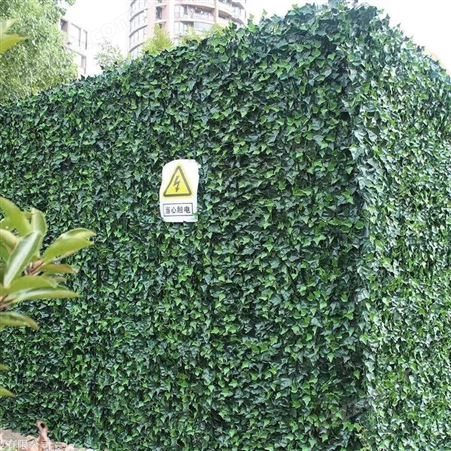 江苏室外植物墙定制 仿真绿植墙设计