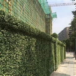 苏州生态植物墙施工 绿色仿真植物墙