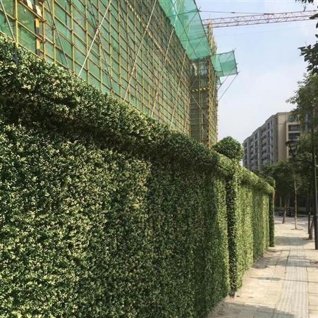 苏州生态植物墙施工 绿色仿真植物墙