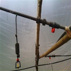 河北霈泽大棚吊挂微喷灌设备介绍