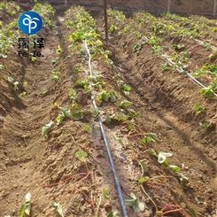 河北霈泽牌灌溉设备草莓滴灌产品介绍