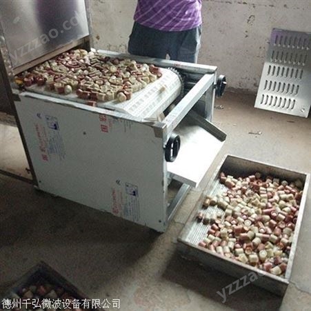 安庆市工业微波干燥设备