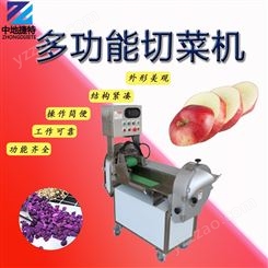 商用多功能切菜机 切片丁丝段块机器 机关单位食堂蔬菜处理设备