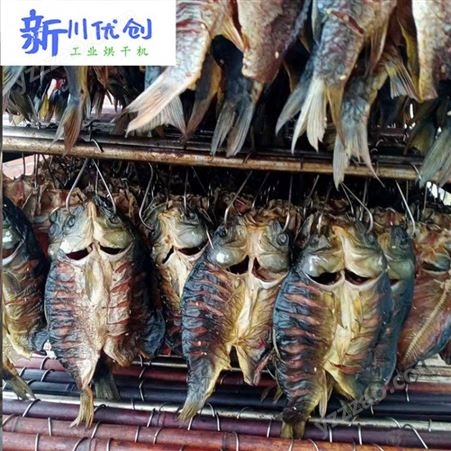 贵州鱼虾烘干房设备 智能鱼虾风干房