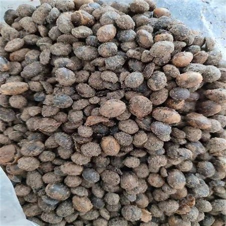 山东肥料 发酵大豆菌肥 腐熟发酵大豆 有机肥大豆发酵大豆