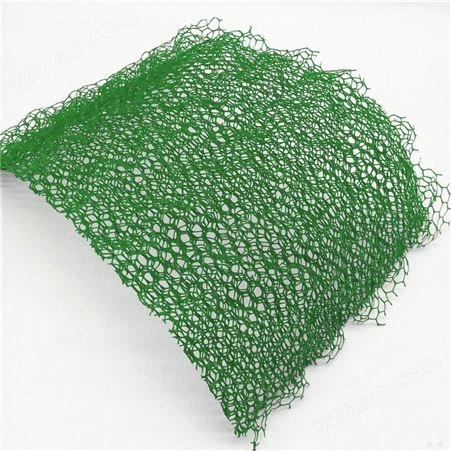 河道斜坡种植绿化三维植被网  复合加筋三维网-润泽