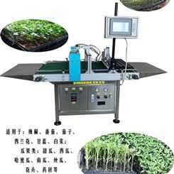 辣椒育苗机  蔬菜播种机 自动化穴盘播种机厂家