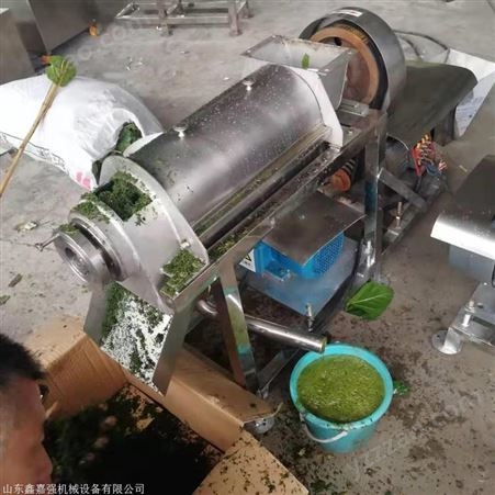 果蔬螺旋榨汁机 商用沙棘果榨汁机 蔬菜榨汁机型号