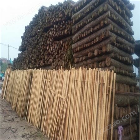东莞铁杉木方条 大量杉木供应 杉木加工厂