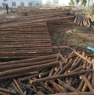 杉木绿化杆供应商 杉木顶撑杆 杉木绿化杆厂家