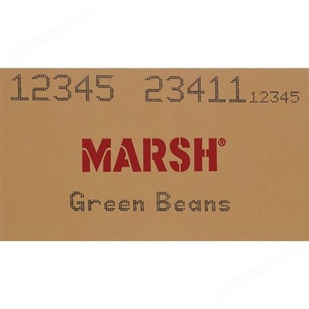 伟迪捷Marsh PatrionPlus大字符喷码机 纸箱喷印日期编码设备