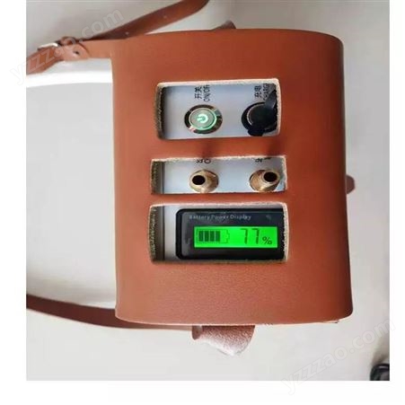 气体自动负压采样器 CFZ15(C)气体自动负压采样器 品质保障