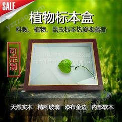 黑龙江省标本盒 植保产品 智科实木制作