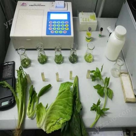 农药的残留检测仪 农药残留快速检测仪的 蔬菜农药残留检测仪货号H5158
