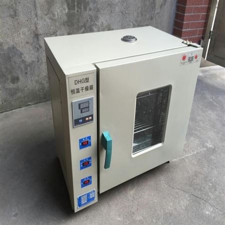 热风循环干燥箱 豆角烘干机 电加热鼓风干燥箱货号H0634