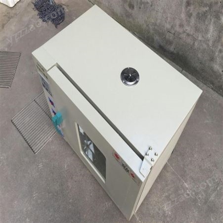 热风循环干燥箱 豆角烘干机 电加热鼓风干燥箱货号H0634
