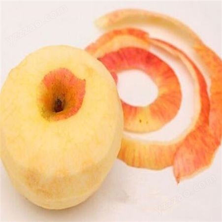 北京苹果捅核切瓣削皮机-水果去皮机-元享机械
