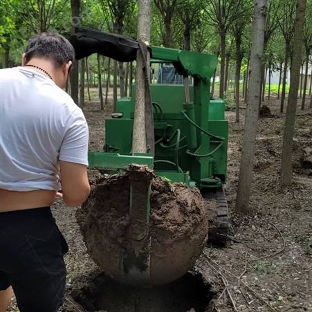 圆弧刀式挖树机 丘陵苗圃挖树机 绿化树移植护根机
