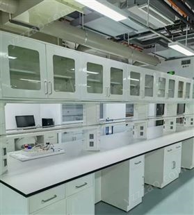 品质保障艾沃斯pp实验室操作台 客制化测量定制 环保材质