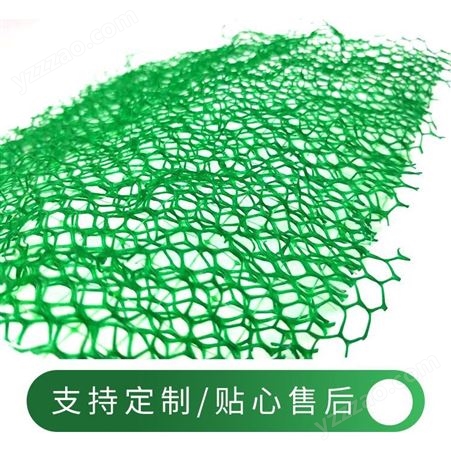 广西三维植被网厂家 规格型号齐全 专业护坡EM2植草三维网诺联