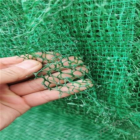绿化护坡用3层植被网 植草护坡生态修复植被网 塑料土工网