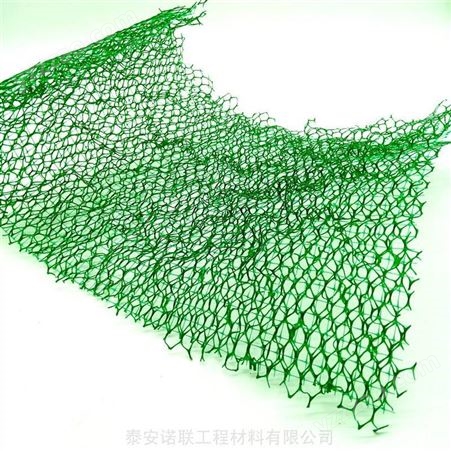 宿州三维植草网每平方单价 山体绿化防护三维被网诺联生产供应