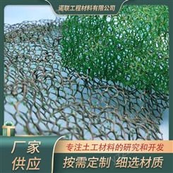 广西护坡种草用绿化植被网 优质三维植被网 批发价格