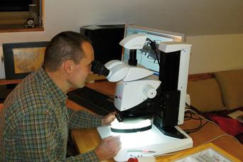 徕卡显微镜，揭示高山地区地面甲虫的环境适应发展史